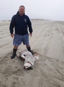 Read more about the article Lee Lockamy Car Accidnet Death,Chief Emeritus of the Nansemond Indian Nation Has Passed Away